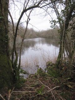 The Turlough